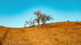 Zachód słońca nad grodziskiem Święta Góra i jeziorem Wojnowo, luty 2022 r. - zdjęcie 31