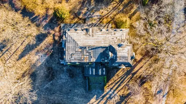 Ruiny pałacu z początku XX wieku w Notyście - zdjęcie 10