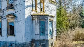 Ruiny pałacu z początku XX wieku w Notyście - zdjęcie 15