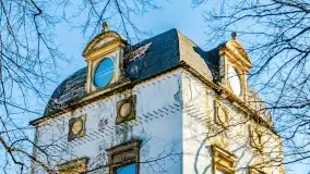 Ruiny pałacu z początku XX wieku w Notyście - zdjęcie 8