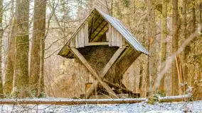 Zimowe migawki z puszczy Boreckiej, luty 2022 r. - zdjęcie 14