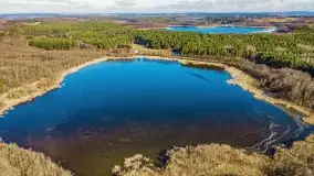 Dargin i okoliczne jeziora z lotu mewy - zdjęcie 10