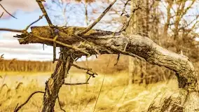 Jezioro Kirsajty i przedwiośnie - zdjęcie 38