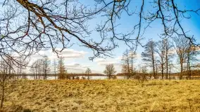 Jezioro Kirsajty i przedwiośnie - zdjęcie 29