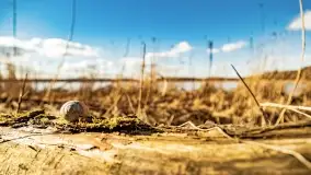 Jezioro Kirsajty i przedwiośnie - zdjęcie 4