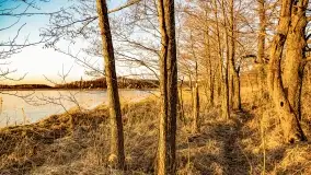 Zachód słońca nad jeziorem Kirsajty, marzec 2022 r. - zdjęcie 14