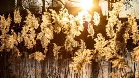 Zachód słońca nad jeziorem Harsz w Harszu - zdjęcie 15