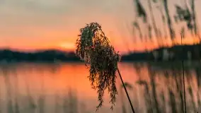 Marcowy zachód słońca nad jeziorem Kisajno - zdjęcie 20