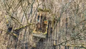 Jezioro Dobskie w okolicach Dziewiszewa, wyspa Gilma - zdjęcie 29