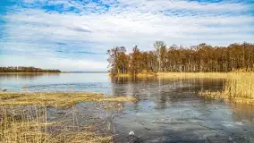 Jezioro Dobskie w okolicach Dziewiszewa, wyspa Gilma - zdjęcie 22