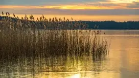 Zachód słońca nad jeziorem Dobskim, marzec 2022 r. - zdjęcie 9