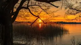 Zachód słońca nad jeziorem Dobskim, marzec 2022 r. - zdjęcie 32