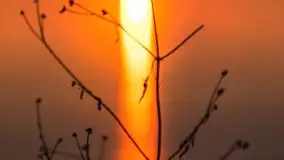 Zachód słońca nad jeziorem Dobskim, marzec 2022 r. - zdjęcie 49