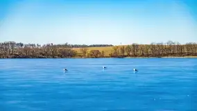 Przedwiośnie w Ełku, marzec 2022 r. - zdjęcie 6