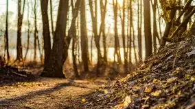 Zachód słońca nad jeziorem Krzywa Kuta - zdjęcie 23