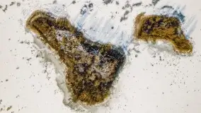 Jezioro Piłwąg w okowach lutowej zimy - zdjęcie 14