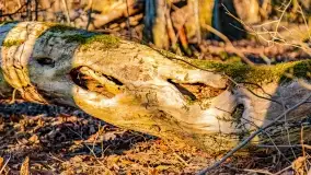 Zachód słońca nad jeziorem Mój - zdjęcie 21