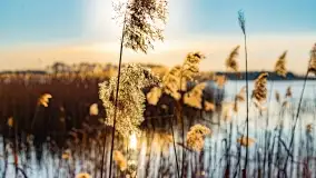 Zachód słońca nad jeziorem Mój - zdjęcie 22