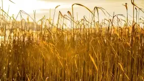 Zachód słońca nad jeziorem Mój - zdjęcie 20