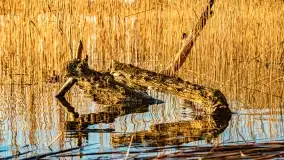 Zachód słońca nad jeziorem Mój - zdjęcie 45