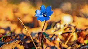 Zachód słońca nad jeziorem Mój - zdjęcie 3