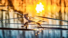 Zachód słońca nad jeziorem Mój - zdjęcie 1