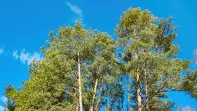 Mazury - inspiracja fotograficzna o każdej porze roku - zdjęcie 26