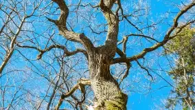 Mazury - inspiracja fotograficzna o każdej porze roku - zdjęcie 3