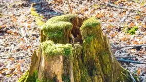 Mazury - inspiracja fotograficzna o każdej porze roku - zdjęcie 18