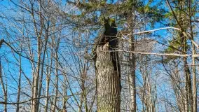 Mazury - inspiracja fotograficzna o każdej porze roku - zdjęcie 23