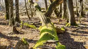 Mazury - inspiracja fotograficzna o każdej porze roku - zdjęcie 6