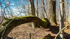 Mazury - inspiracja fotograficzna o każdej porze roku - zdjęcie 1