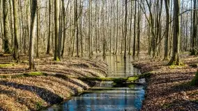Mazury - inspiracja fotograficzna o każdej porze roku - zdjęcie 24