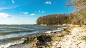 Wietrzny Dargin na początku wiosny - zdjęcie 38