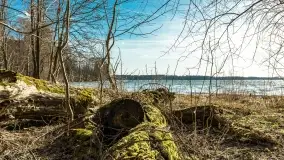 Wietrzny Dargin na początku wiosny - zdjęcie 10