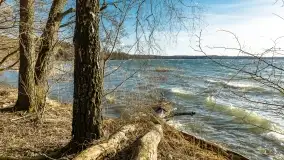 Wietrzny Dargin na początku wiosny - zdjęcie 41