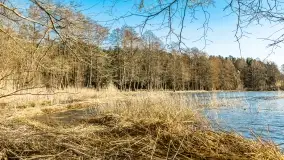 Wietrzny Dargin na początku wiosny - zdjęcie 25