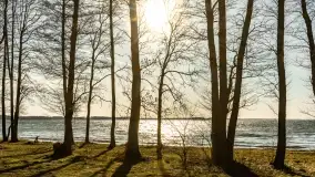 Wietrzny Dargin na początku wiosny - zdjęcie 33