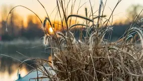 Garażowy zachód nad rzeką Pisa w Piszu - zdjęcie 23