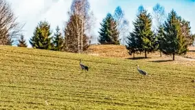 Mazury na niewykorzystanych ujęciach, styczeń - marzec 2022 - zdjęcie 24