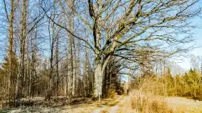 Mazury na niewykorzystanych ujęciach, styczeń - marzec 2022 - zdjęcie 25