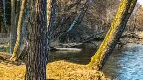 Jezioro Boczne i przystań Sun Bila pod koniec marca 2022 - zdjęcie 45