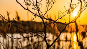 Zachód słońca nad jeziorem Wydmińskim, marzec 2022 - zdjęcie 34