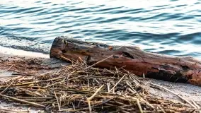 Zachód słońca bez słońca - pole biwakowe, Sun Bila Dargin - zdjęcie 11