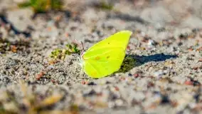 Binduga Zimny Kąt na początku wiosny 2022 - zdjęcie 44