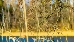 Binduga Zimny Kąt na początku wiosny 2022 - zdjęcie 52