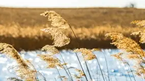 Binduga Zimny Kąt na początku wiosny 2022 - zdjęcie 54