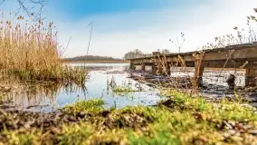 Binduga Zimny Kąt na początku wiosny 2022 - zdjęcie 36