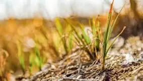 Binduga Zimny Kąt na początku wiosny 2022 - zdjęcie 40