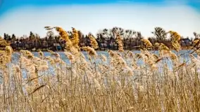 Jezioro Ołów w pierwszych dniach wiosny - zdjęcie 9